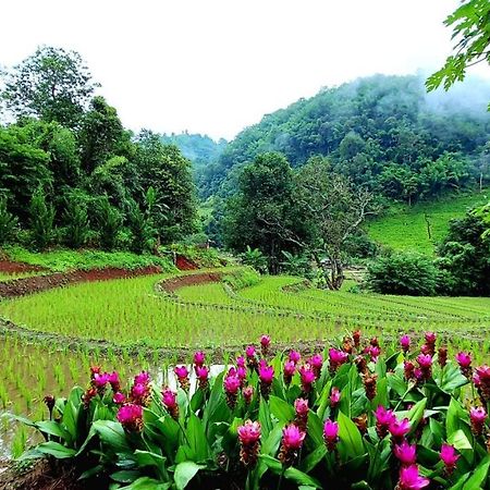Ban Mae Pan Noi梅柴姆科威特农庄别墅 外观 照片