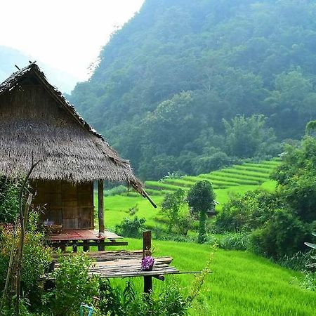 Ban Mae Pan Noi梅柴姆科威特农庄别墅 外观 照片