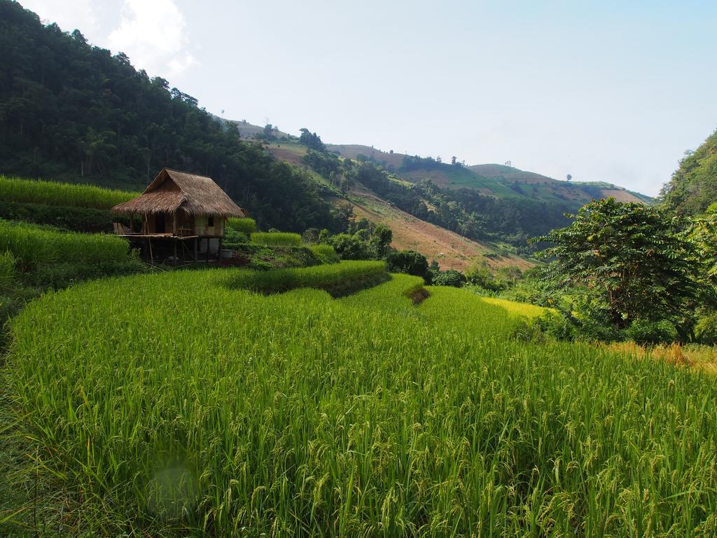 Ban Mae Pan Noi梅柴姆科威特农庄别墅 外观 照片