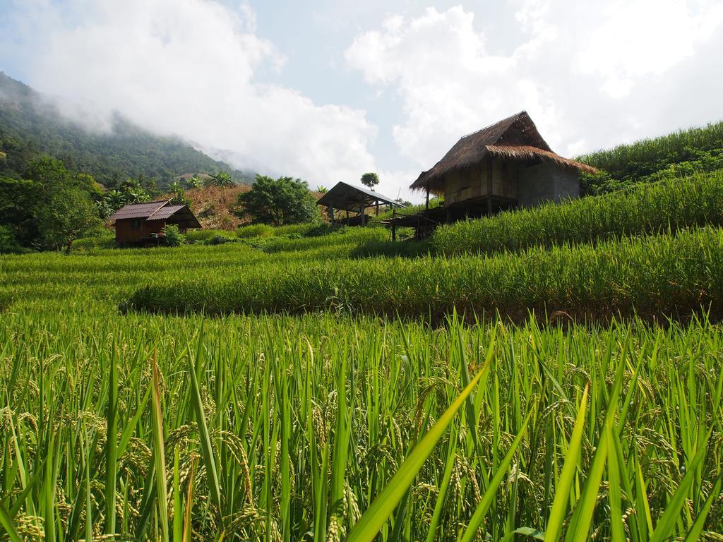 Ban Mae Pan Noi梅柴姆科威特农庄别墅 外观 照片