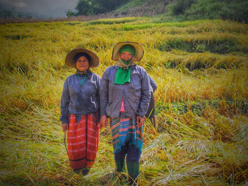 Ban Mae Pan Noi梅柴姆科威特农庄别墅 外观 照片