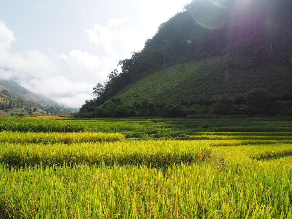 Ban Mae Pan Noi梅柴姆科威特农庄别墅 外观 照片