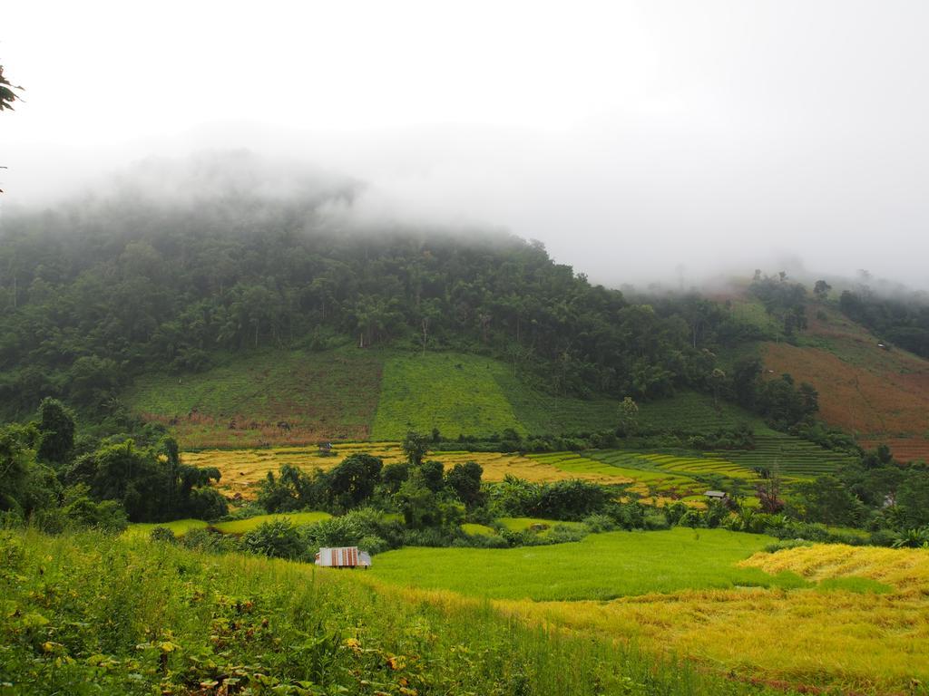 Ban Mae Pan Noi梅柴姆科威特农庄别墅 外观 照片
