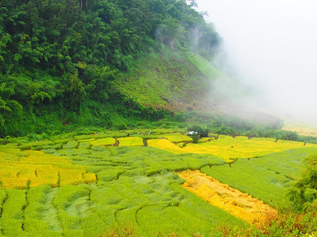 Ban Mae Pan Noi梅柴姆科威特农庄别墅 外观 照片