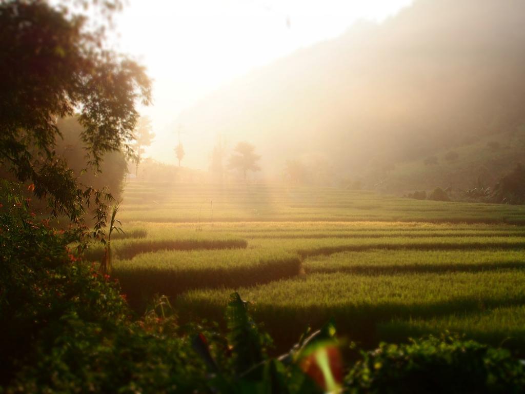 Ban Mae Pan Noi梅柴姆科威特农庄别墅 外观 照片