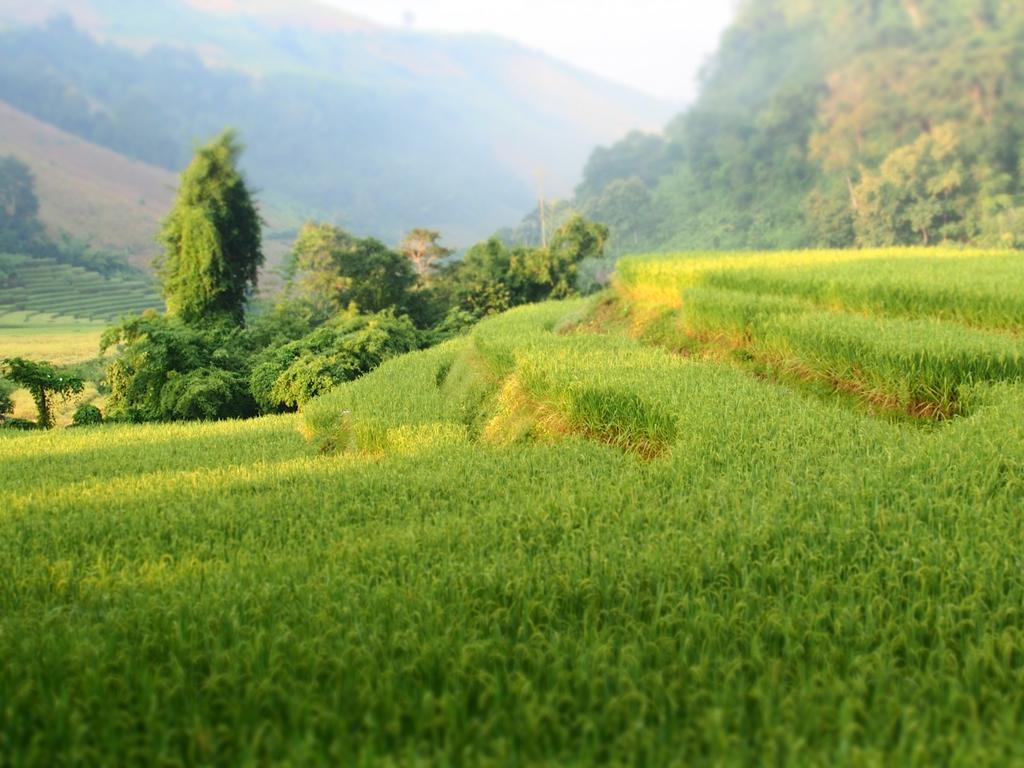 Ban Mae Pan Noi梅柴姆科威特农庄别墅 外观 照片