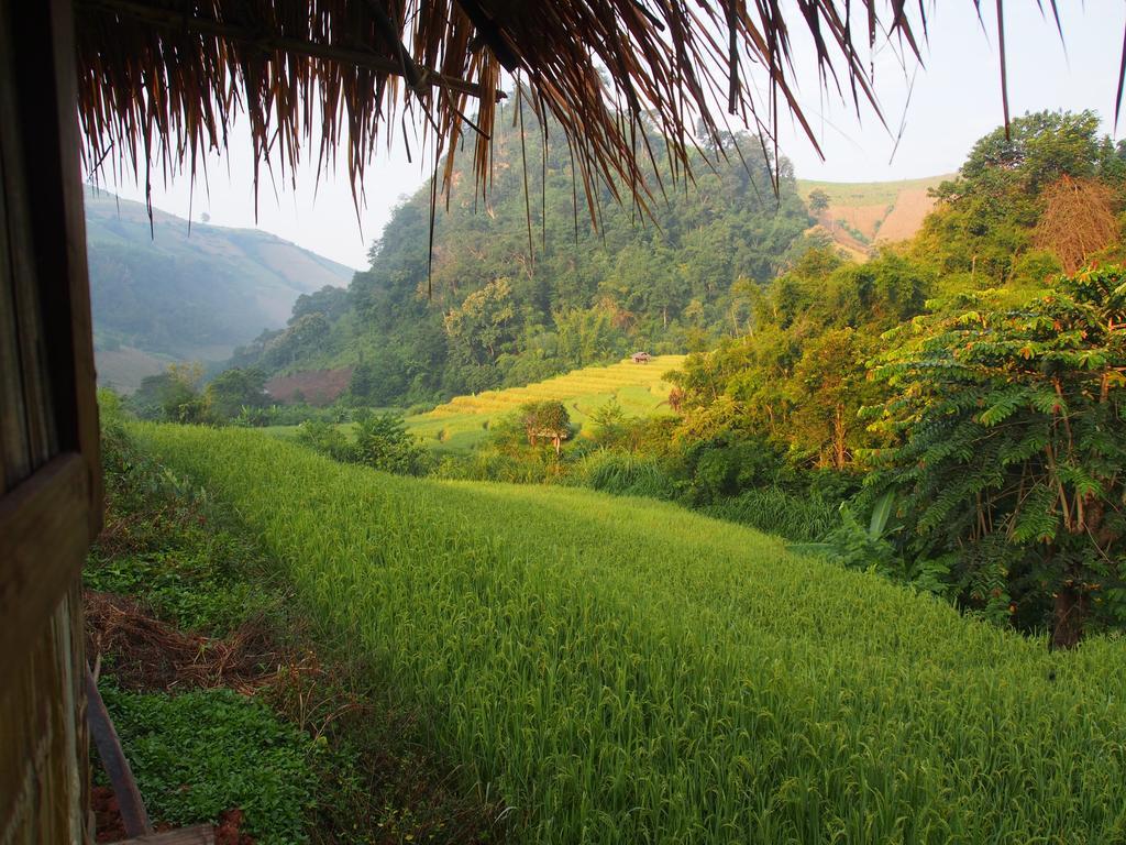 Ban Mae Pan Noi梅柴姆科威特农庄别墅 外观 照片