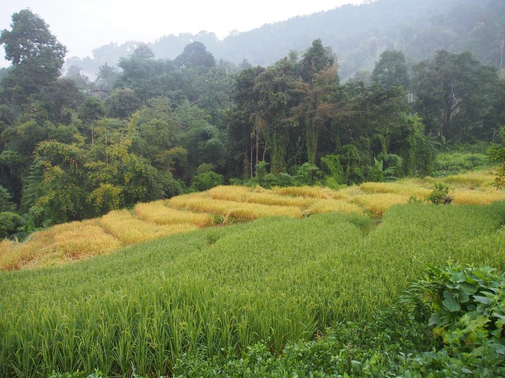 Ban Mae Pan Noi梅柴姆科威特农庄别墅 外观 照片