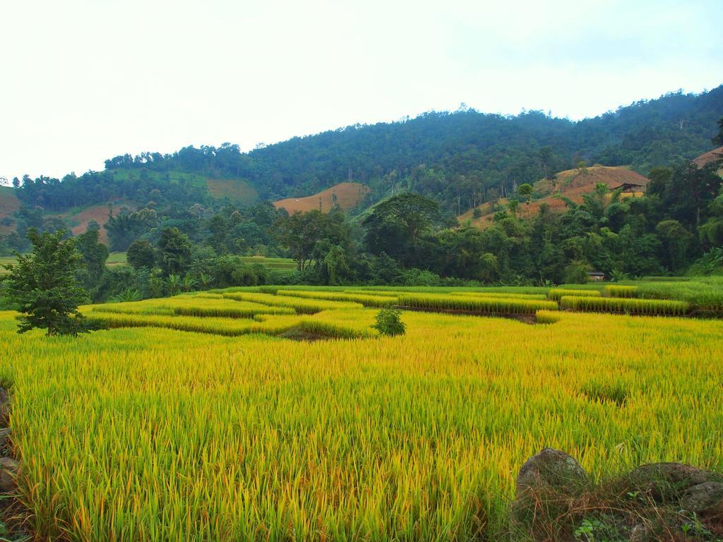 Ban Mae Pan Noi梅柴姆科威特农庄别墅 外观 照片