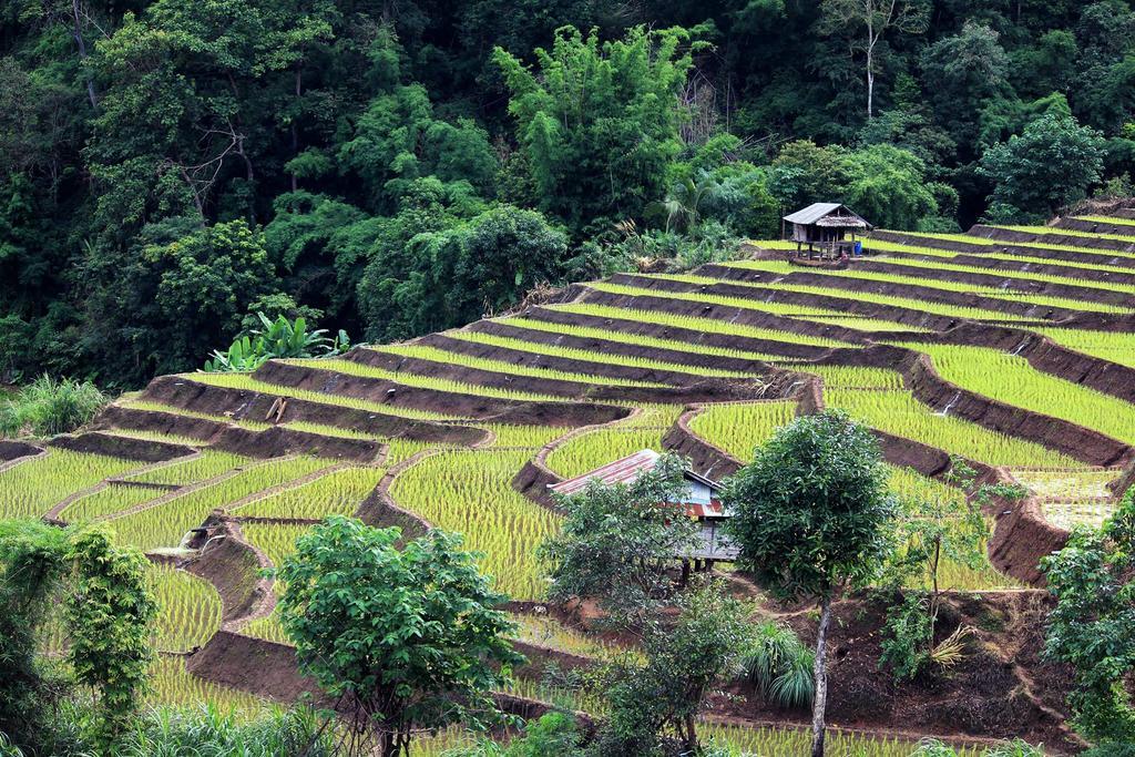Ban Mae Pan Noi梅柴姆科威特农庄别墅 外观 照片