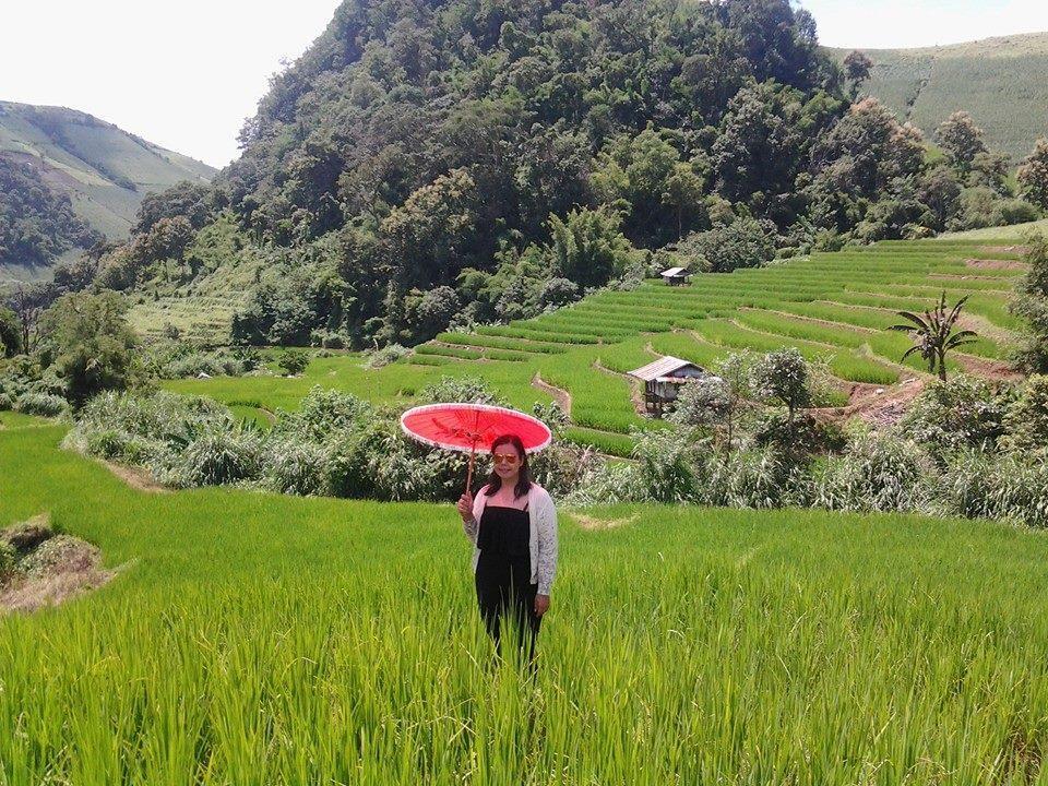 Ban Mae Pan Noi梅柴姆科威特农庄别墅 外观 照片