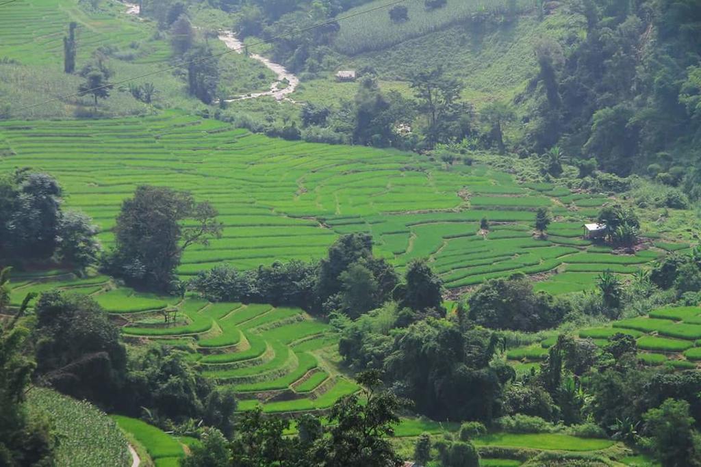 Ban Mae Pan Noi梅柴姆科威特农庄别墅 外观 照片