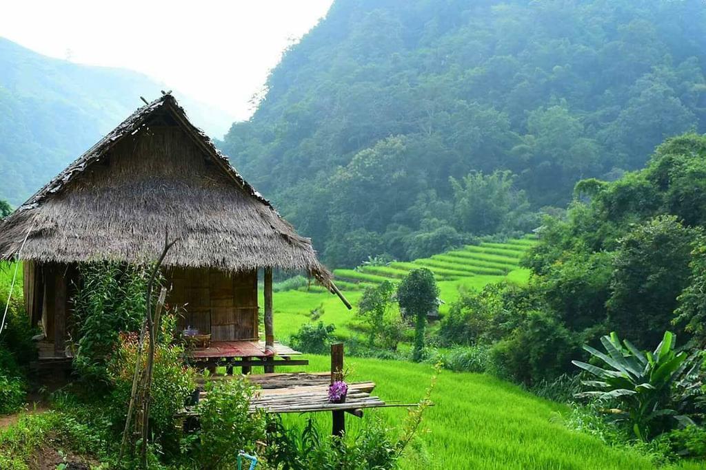 Ban Mae Pan Noi梅柴姆科威特农庄别墅 外观 照片