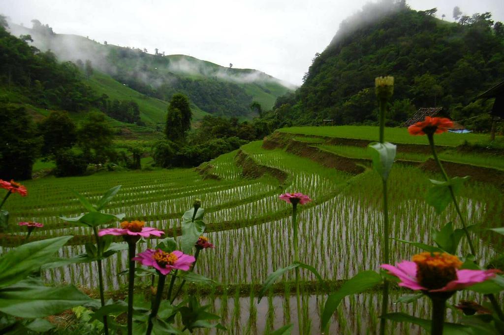 Ban Mae Pan Noi梅柴姆科威特农庄别墅 外观 照片