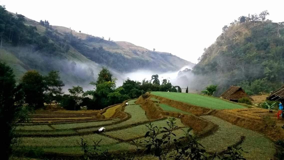 Ban Mae Pan Noi梅柴姆科威特农庄别墅 外观 照片
